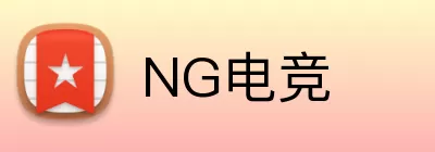 NG电竞 Logo